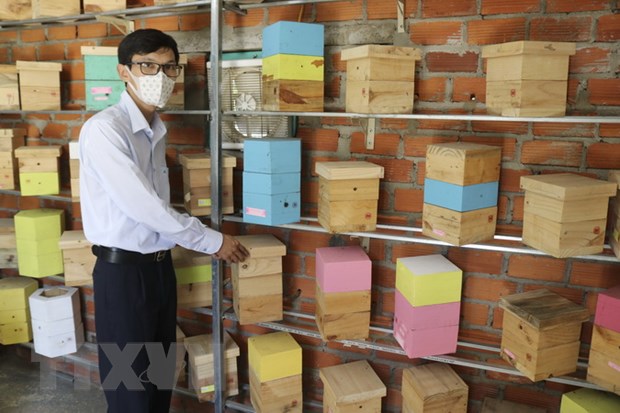 Ninh Thuận: Nghề nuôi ong dú mang lại nguồn thu nhập cao