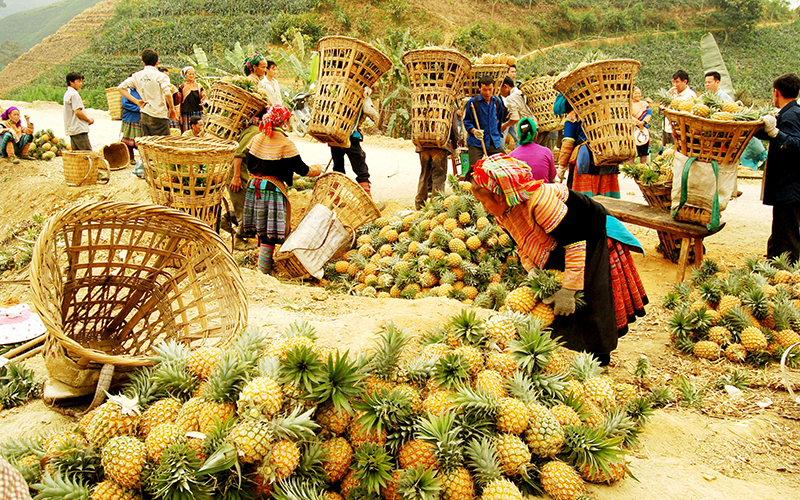 Chủ động, sáng tạo thực hiện “mục tiêu kép”