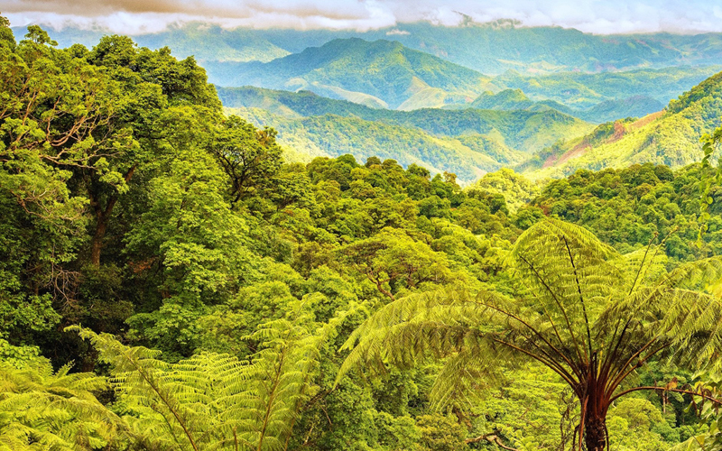 Phong Nha-Kẻ Bàng: Một trong 39 điểm đến năm 2022