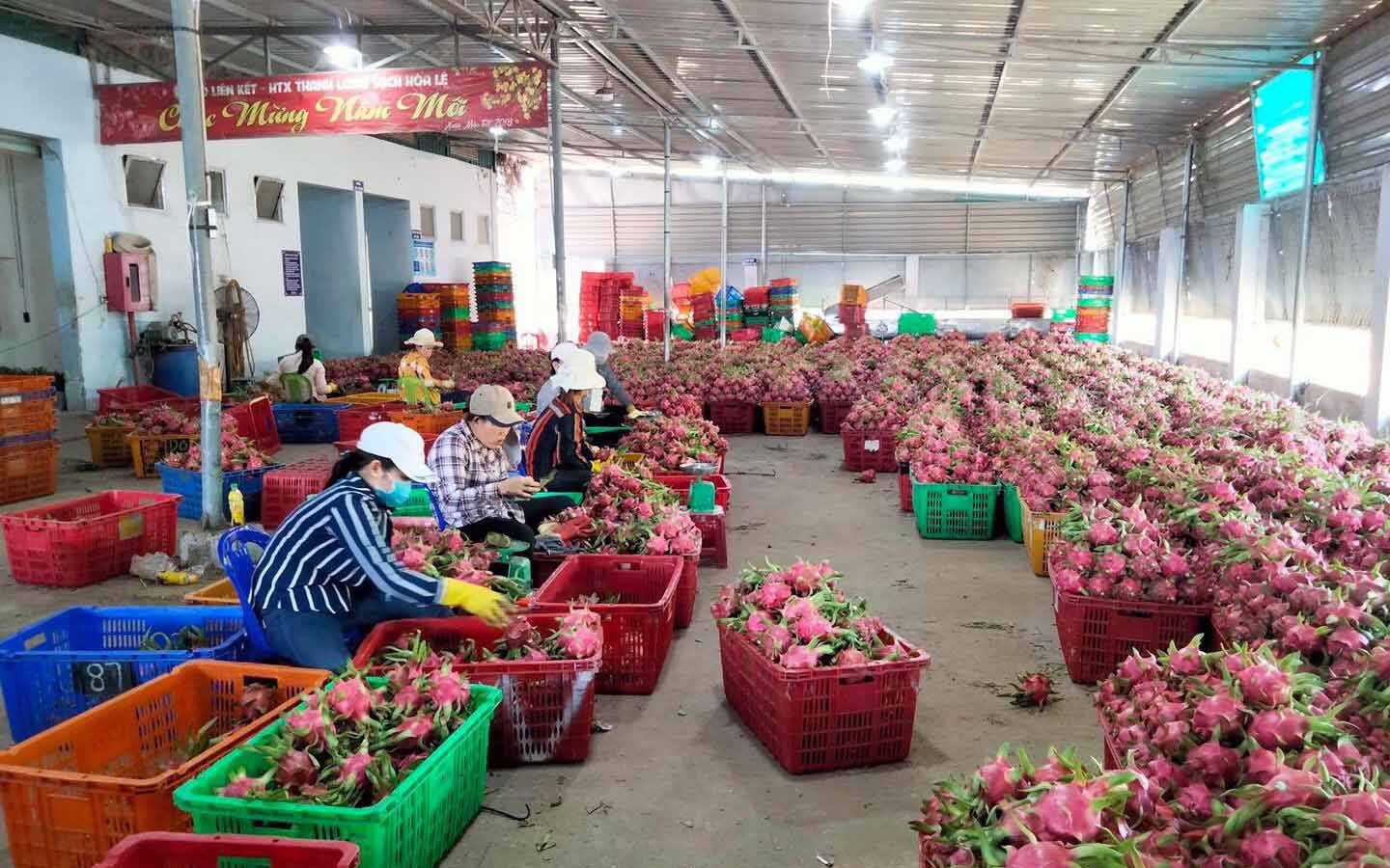 10 sự kiện khoa học và công nghệ nổi bật năm 2021