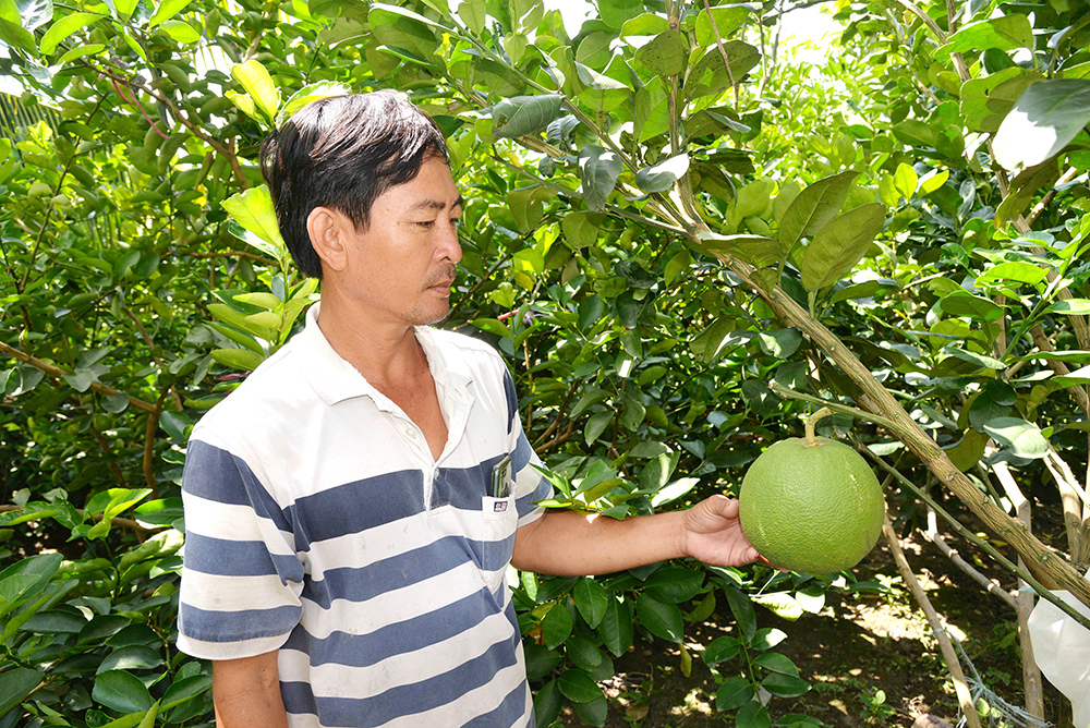 Châu Thành nỗ lực xây dựng nông thôn mới