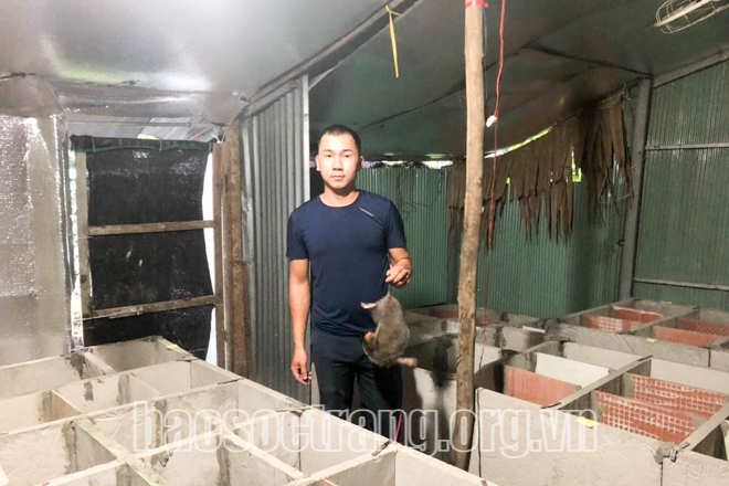 Sóc Trăng: Hiệu quả từ mô hình nuôi con dúi