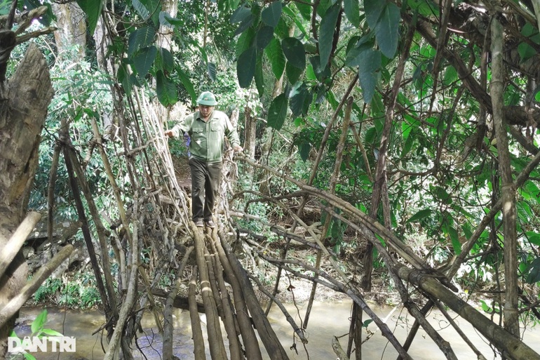 Khám phá thác Rơ Tu nằm ẩn sâu trong rừng xanh Gia Lai