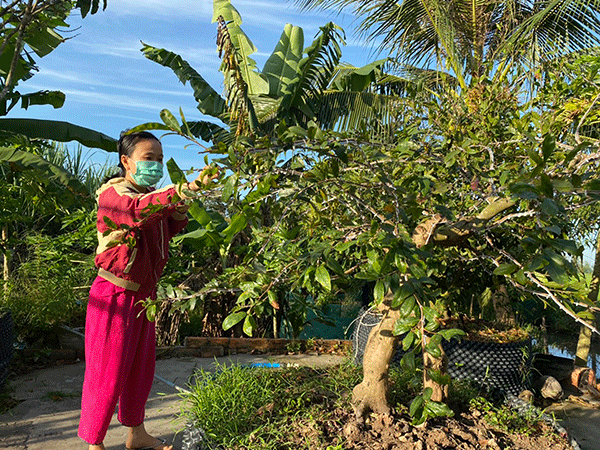 Cần Thơ: Cảnh giác tình trạng trộm cắp tài sản