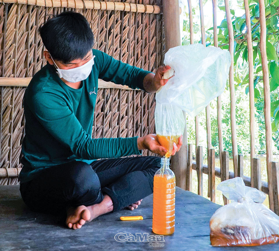 “Ăn ong” thời 4.0