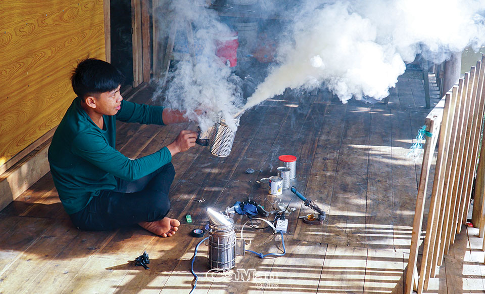 “Ăn ong” thời 4.0