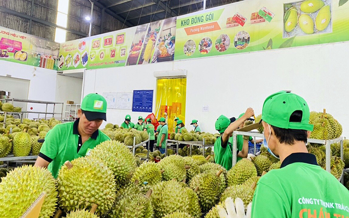 Khơi thông xuất khẩu nông sản qua đường biển