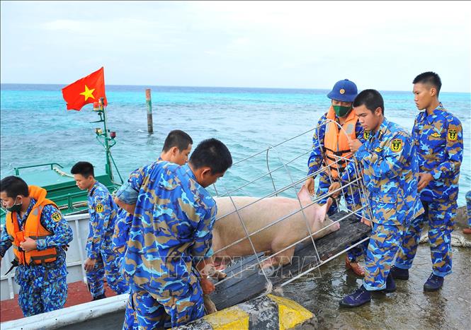 Mang mùa Xuân đến với Trường Sa