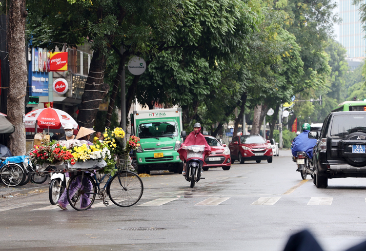 Thời tiết ngày 15-1: Không khí lạnh tăng cường, Bắc Bộ có mưa to và dông
