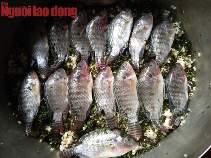 Độc đáo mắm ruộng của người Tày