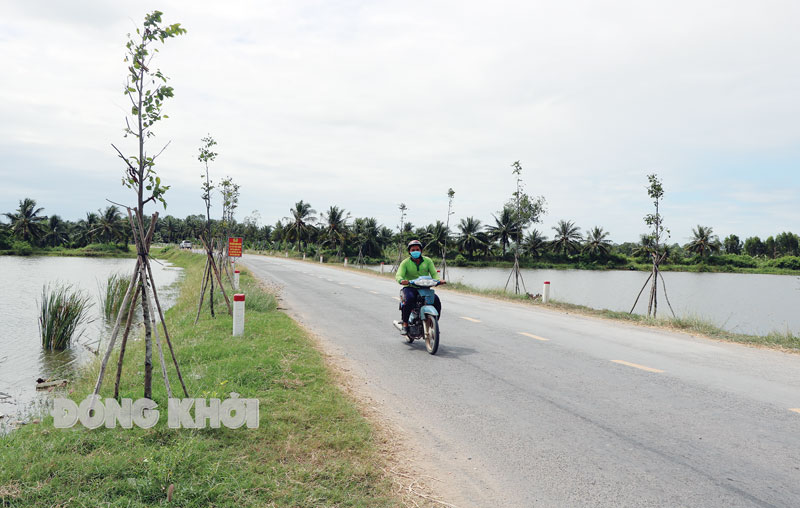 Bến Tre: Đường mới trên những cù lao