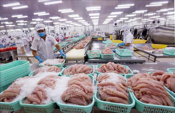 Phó Thủ tướng Lê Minh Khái: Chọn 'đúng và trúng' nội dung tham mưu điều hành kinh tế vĩ mô