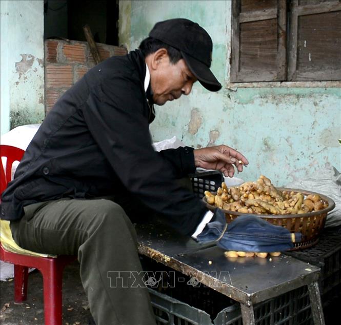 Thơm nồng mứt gừng Mỹ Chánh