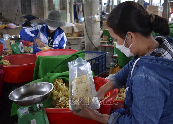 Thơm nồng mứt gừng Mỹ Chánh