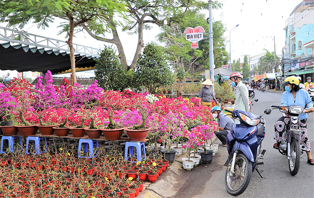 Nhộn nhịp chợ Tết