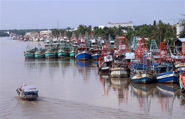 Xăng dầu liên tục tăng giá: Áp lực lớn với nhiều ngành hàng, sản xuất