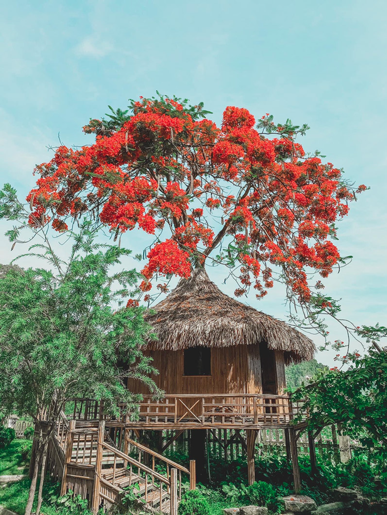 Khám phá Hang Múa, nơi mệnh danh "tiên cảnh" Ninh Bình