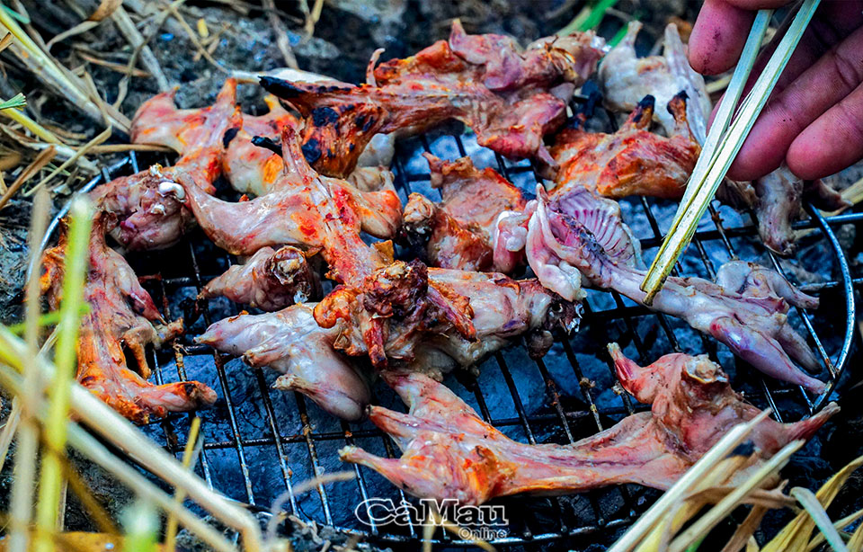 Giậm cù bắt chuột