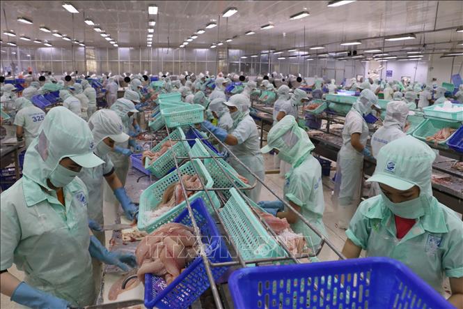 Thủy sản nắm bắt thời cơ thị trường