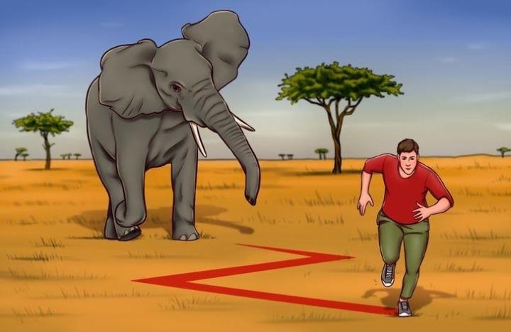 6 mẹo sinh tồn hữu ích giúp bạn sống sót trong tình huống nguy hiểm