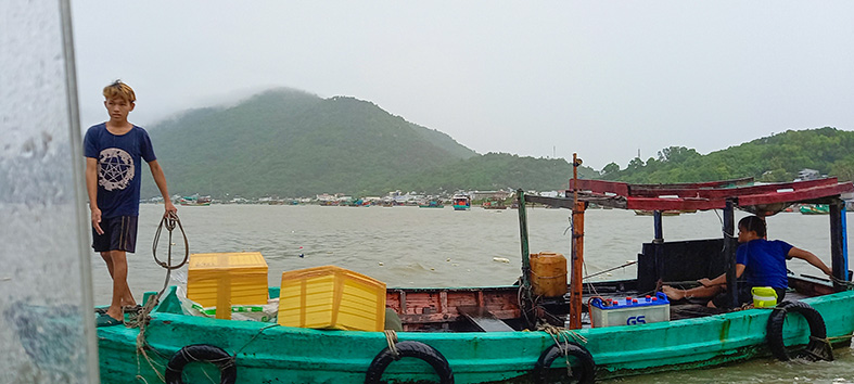 Trở lại Hòn Tre