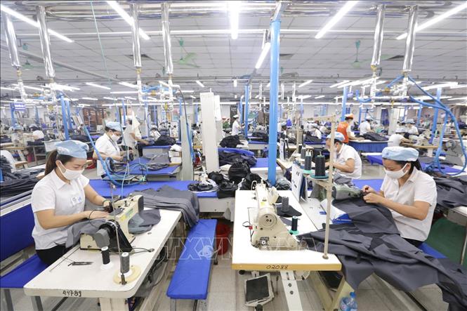 Cảnh báo lừa đảo trong xuất khẩu sang thị trường Nigeria
