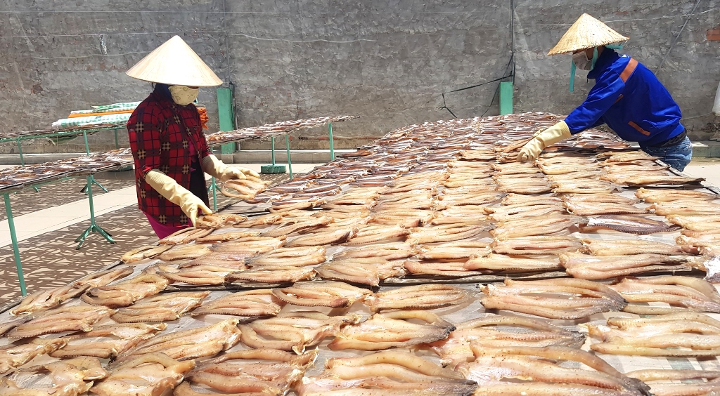 Chợ Mới phục hồi phát triển kinh tế - xã hội