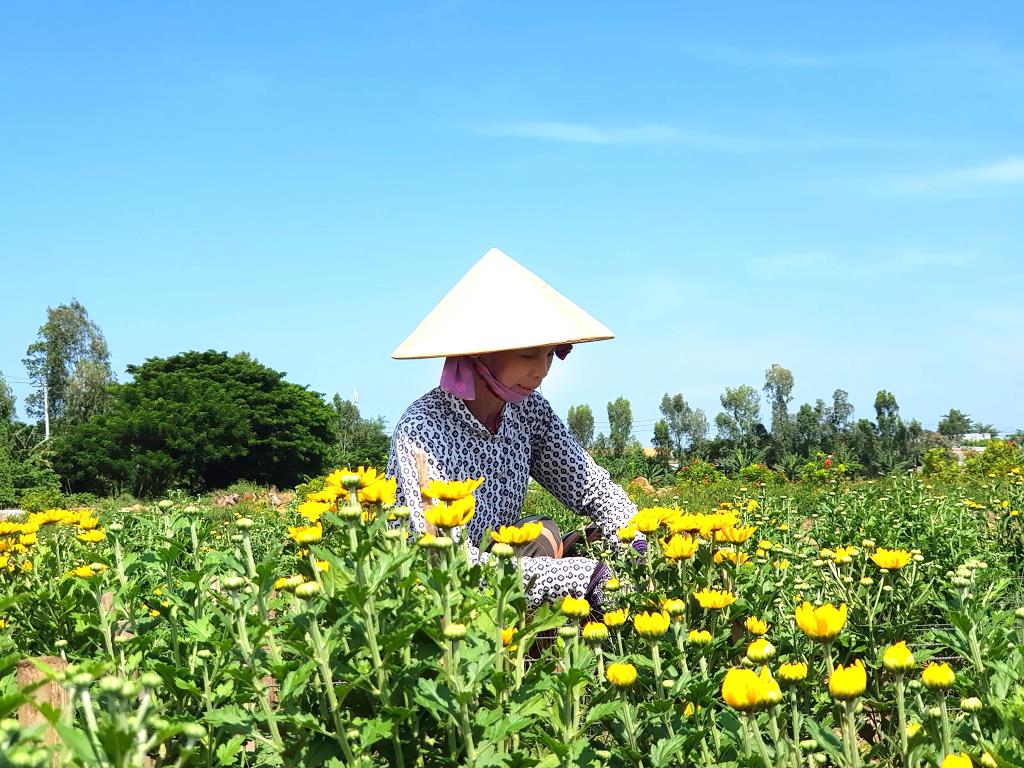 Chợ Mới phục hồi phát triển kinh tế - xã hội