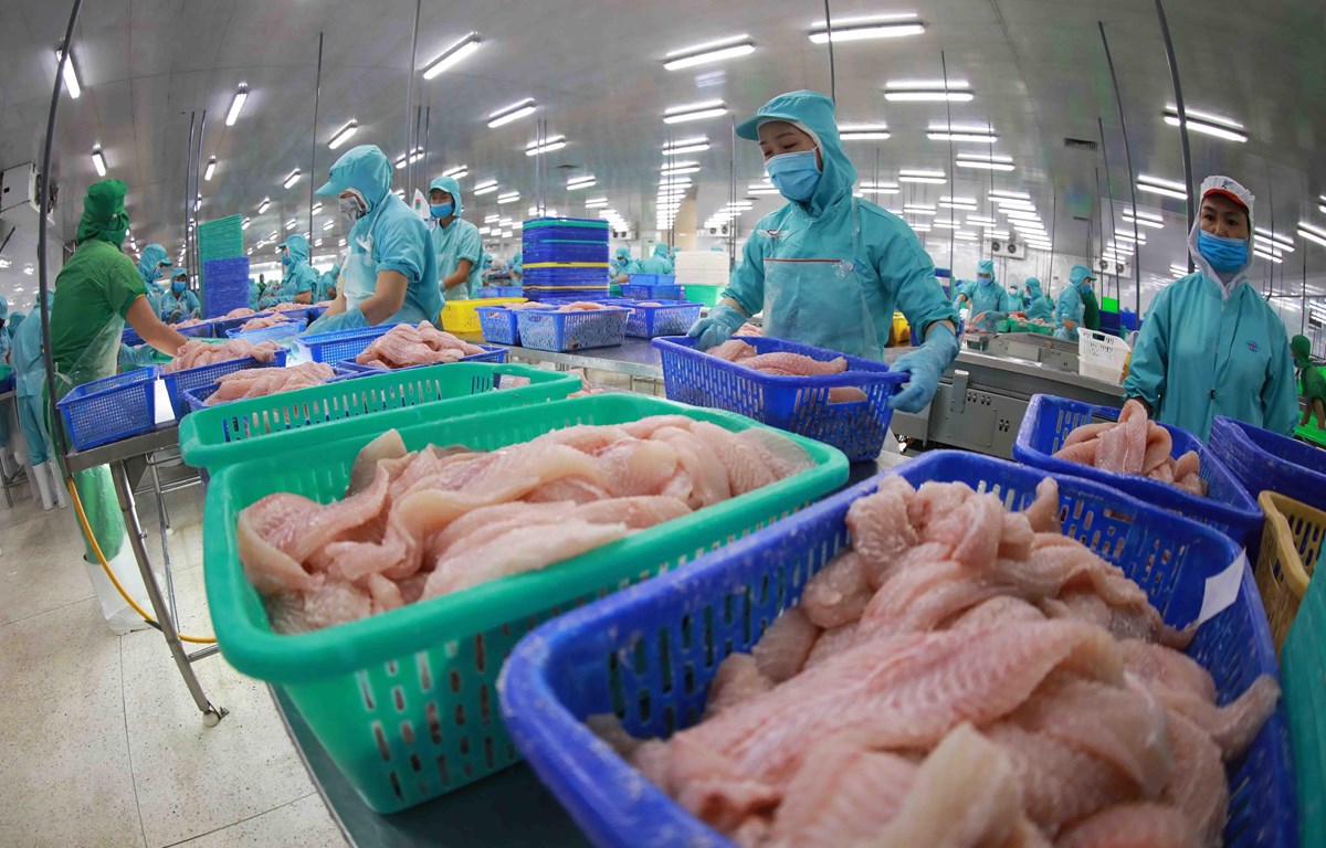 Tận dụng cơ hội đẩy mạnh xuất khẩu thủy sản sang Liên minh châu Âu