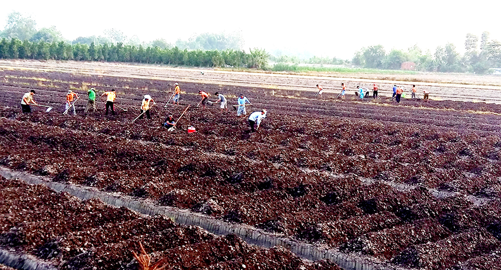Kết quả nổi bật của ngành tài nguyên và môi trường