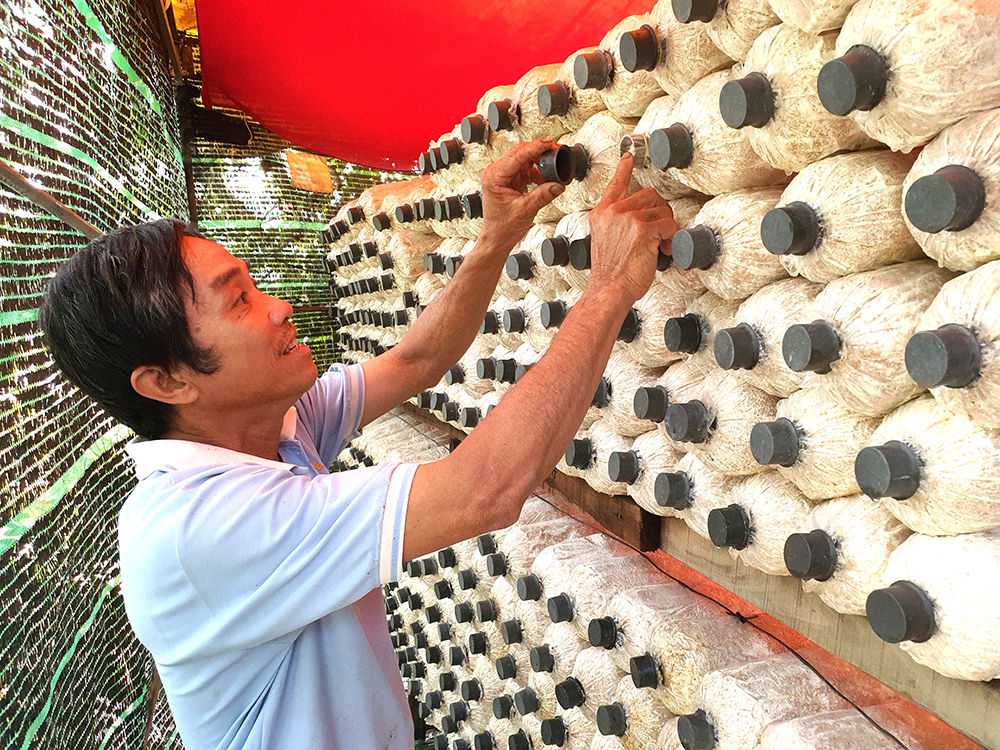 Phát huy truyền thống “Bộ đội Cụ Hồ”