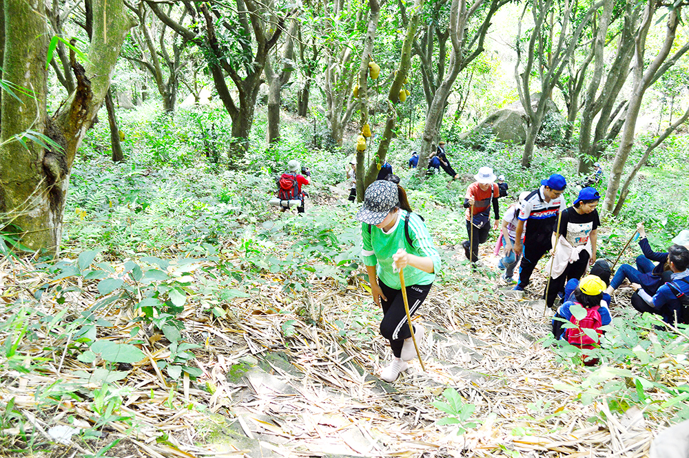 Trekking núi Cấm