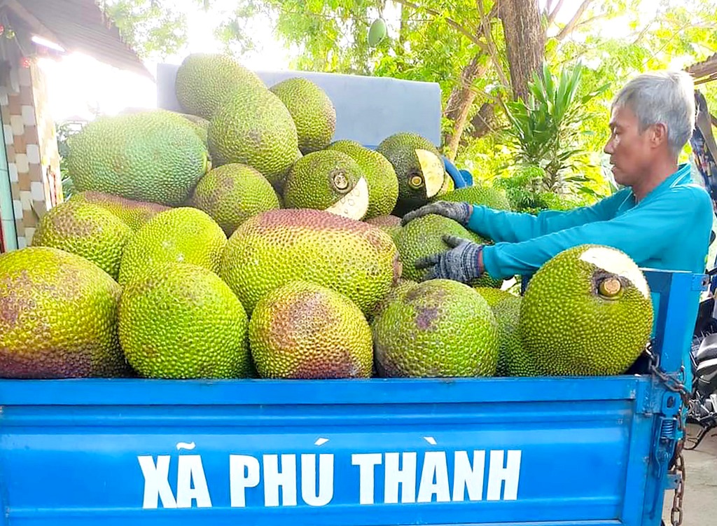 Những gian hàng miễn phí ở xứ đạo