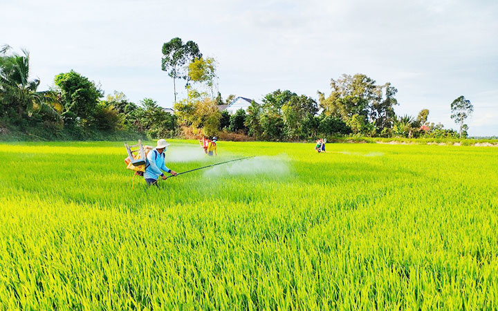 Nông nghiệp sinh thái, nông thôn hiện đại