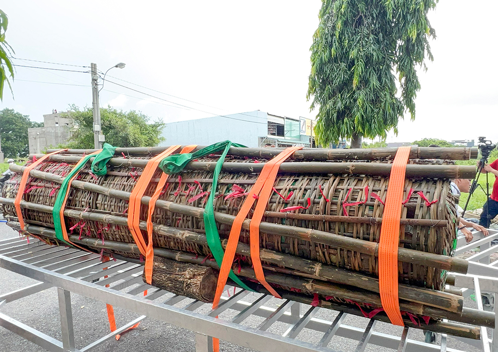 Nấu 2 đòn bánh tét nặng 3 tấn dâng cúng Bà Chúa Xứ núi Sam