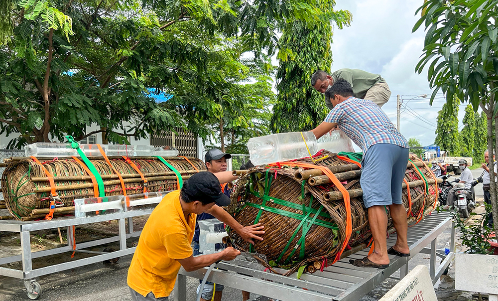 Nấu 2 đòn bánh tét nặng 3 tấn dâng cúng Bà Chúa Xứ núi Sam