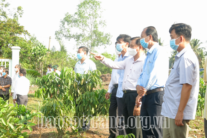Sóc Trăng: "Quả ngọt" từ định hướng phát triển cây ăn trái