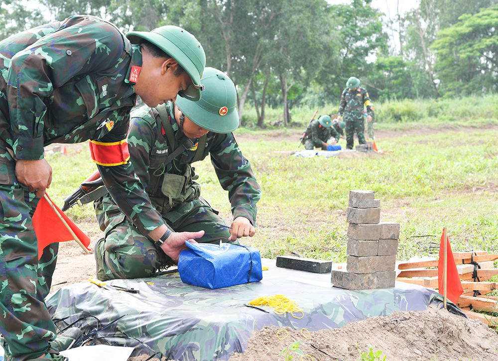 “Hoa hồng trước gió tung bay…”