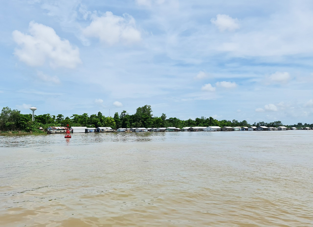 Đảm bảo an toàn nuôi thủy sản