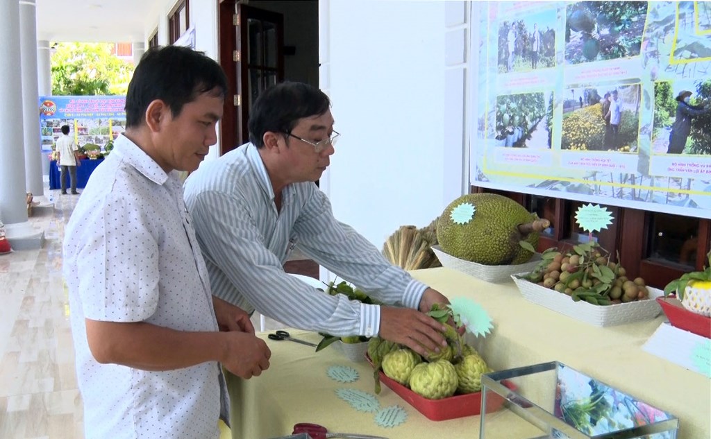 Tuyên dương 14.736 nông dân ở Phú Tân sản xuất – kinh doanh giỏi