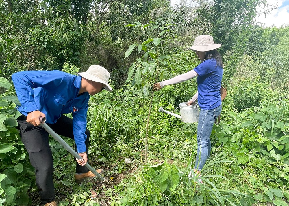 Ra quân trồng cây xanh hưởng ứng Chương trình “Vì một Việt Nam xanh”