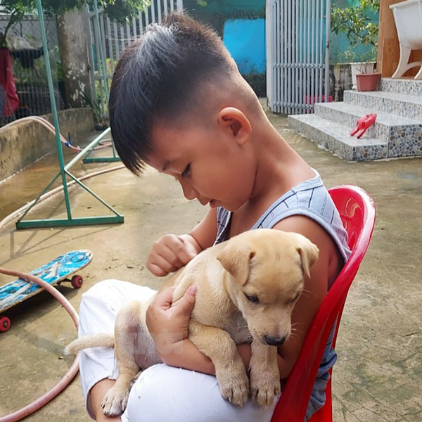 Bến Tre: Thêm 1 trường hợp tử vong do vi-rút dại