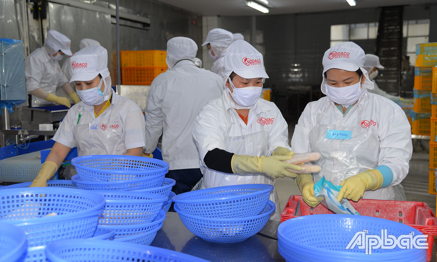 Kinh tế Tiền Giang - Những điểm sáng