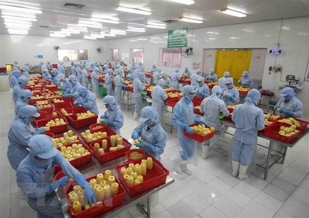 Nhiều dư địa cho xuất khẩu nông sản, thực phẩm Việt sang Hungary