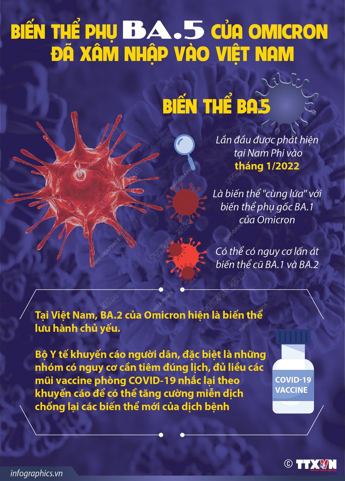 Biến thể phụ BA.5 của Omicron lây lan nhanh hơn biến thể cũ