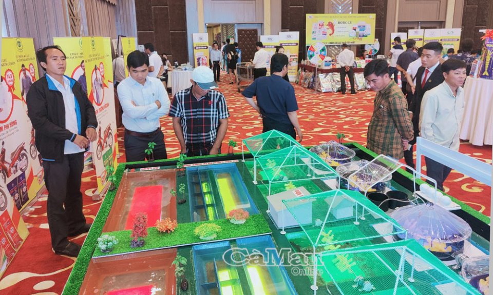 Cà Mau: Giải pháp nuôi tôm 15 con/kg