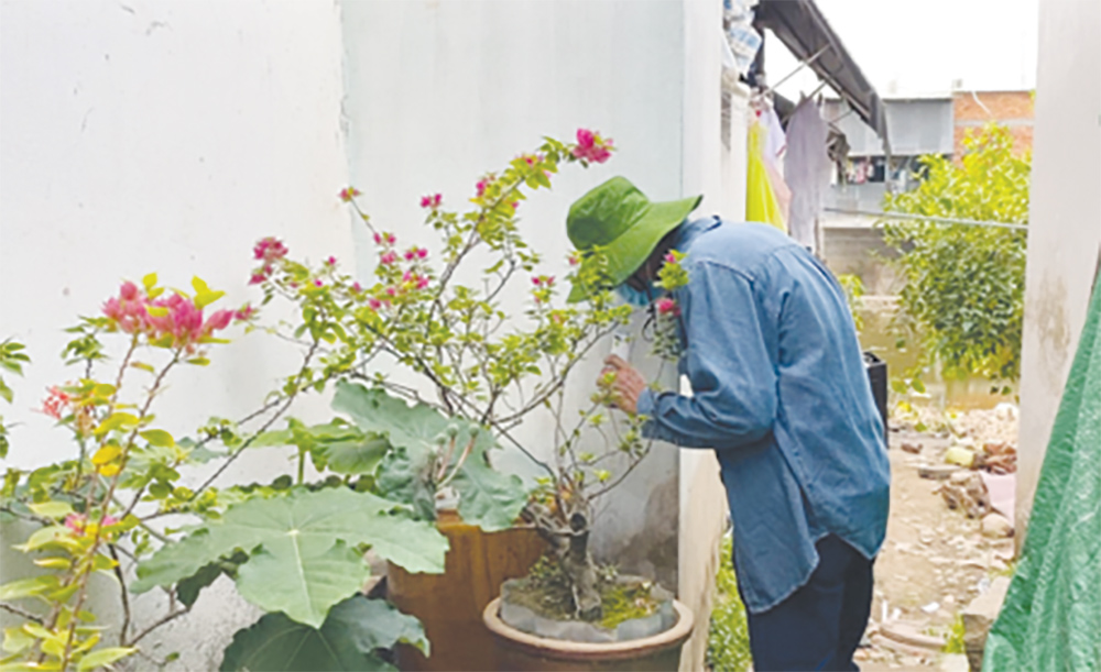 Tân Châu tăng cường phòng, chống sốt xuất huyết