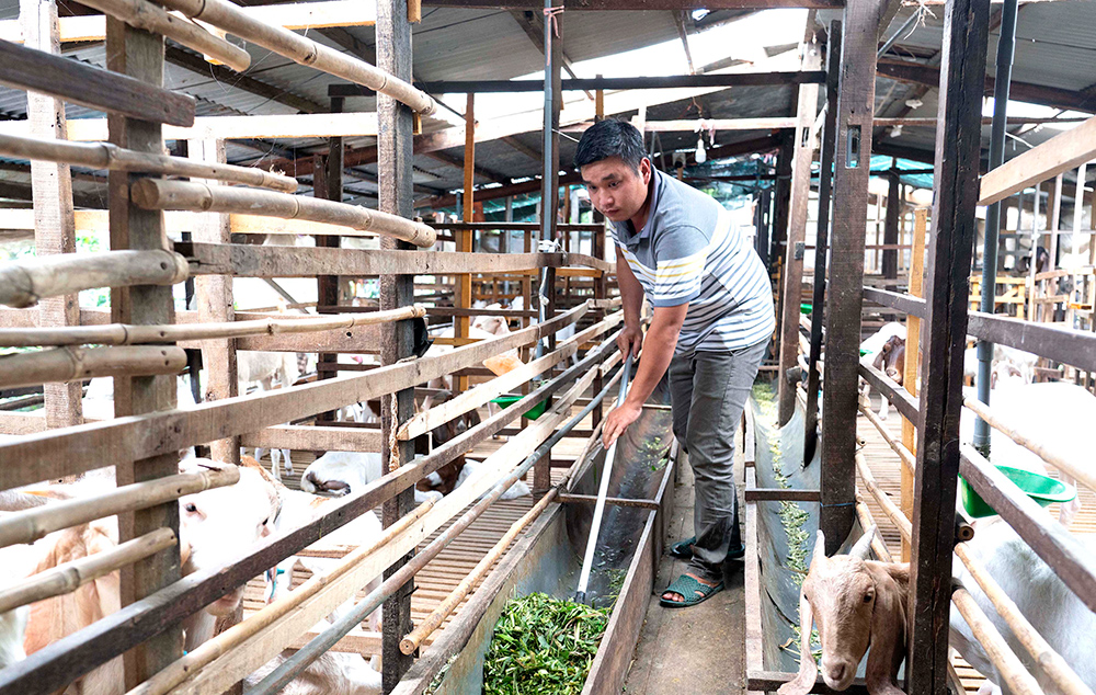Châu Thành nỗ lực phục hồi và phát triển kinh tế - xã hội