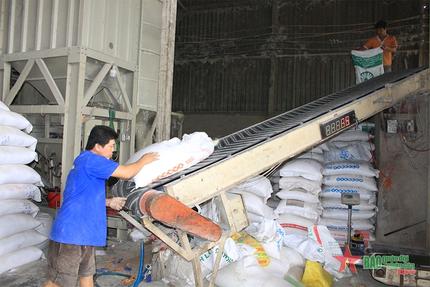 Khơi thông dòng chảy cho hạt gạo Việt