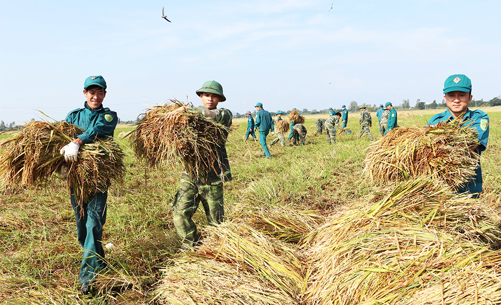 Nghĩa tình quân - dân từ một phong trào